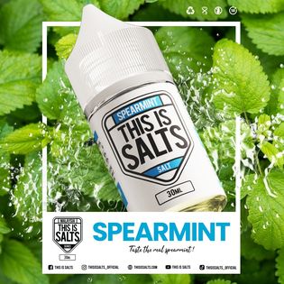 น้ำยาบุหรี่ไฟฟ้า This Is Salt - Spearmint หอมเย็นได้กลิ่นมินต์ชัดเจน