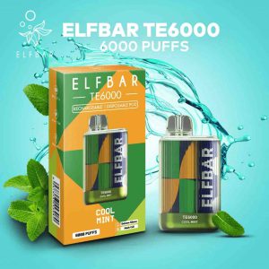 ELF BAR TE6000 - Cool Mint